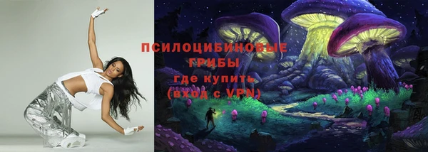 твердый Володарск